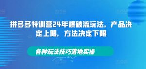 拼多多特训营24年爆破流玩法，产品决定上限，方法决定下限，各种玩法技巧落地实操-云途资源库