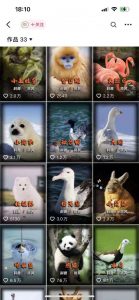 动物科普解说项目，撸创作者伙伴计划收益，保姆级实战教程-云途资源库