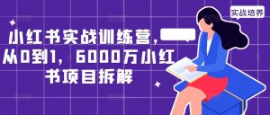 小红书实战训练营，从0到1，6000万小红书项目拆解-云途资源库