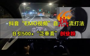 抖音EMO视频自热打法，日引500+“泛垂直”创业粉-云途资源库