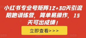 小红书专业号矩阵12+30天引流陪跑训练营，简单易操作，15天可出成绩!-云途资源库
