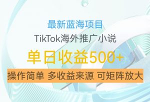 最新蓝海项目，利用tiktok海外推广小说赚钱佣金，简单易学，日入500+，可矩阵放大【揭秘】-云途资源库