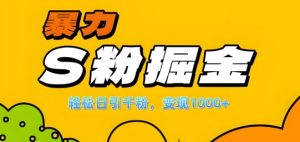 单人单机日引千粉，变现1k+，S粉流量掘金计划攻略【揭秘】-云途资源库