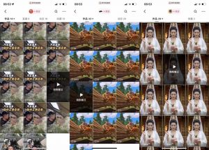 狗熊岭快手连怼技术，好物，涨粉都可以连怼-云途资源库