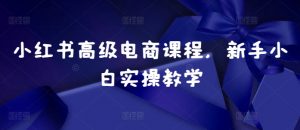 小红书高级电商课程,新手小白实操教学-云途资源库