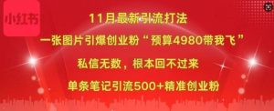 小红书11月最新图片打粉，一张图片引爆创业粉，“预算4980带我飞”，单条引流500+精准创业粉-云途资源库