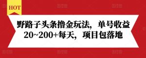 野路子头条撸金玩法，单号收益20~200+每天，项目包落地-云途资源库