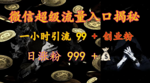 微信超级流量入口揭秘：一小时引流 99 + 创业粉，日涨粉 999 +-云途资源库