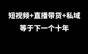 短视频+直播带货+私域等于下一个十年，大佬7年实战经验总结-云途资源库