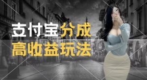 支付宝分成计划新玩法，利用交通事故视频，赚收益，轻松月入过W，操作简单【揭秘】-云途资源库