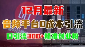 12月最新：音频平台0成本引流，日引流300+精准创业粉-云途资源库