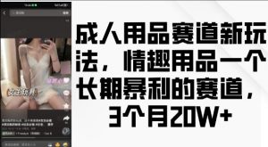 成人用品赛道新玩法，情趣用品一个长期暴利的赛道，3个月收益20个【揭秘】-云途资源库