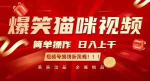 爆笑猫咪视频：简单操作，日入过K，视频号搞钱新策略【揭秘】-云途资源库