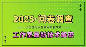 2025问卷调查最新工作室技术解密：一个人在家也可以闷声发大财，小白一天2张，可矩阵放大【揭秘】-云途资源库