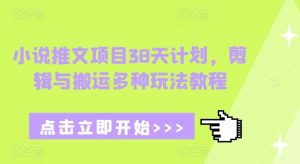 小说推文项目38天计划，剪辑与搬运多种玩法教程-云途资源库