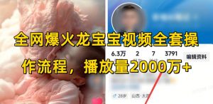 全网爆火龙宝宝视频全套操作流程，播放量2000万+-云途资源库