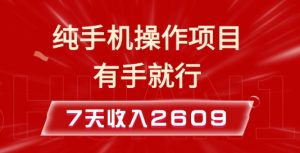 纯手机操作的小项目，有手就能做，7天收入2609+实操教程【揭秘】-云途资源库