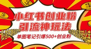小红书创业粉引流神玩法，单图笔记引爆500+精准创业粉丝，私信狂潮接连不断-云途资源库