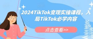 2024TikTok变现实操课程，入局TikTok必学内容-云途资源库