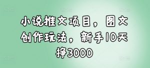 小说推文项目，图文创作玩法，新手10天挣3000-云途资源库