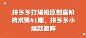 拼多多打爆班原创高阶技术第41期，拼多多小爆款矩阵-云途资源库