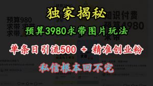 预算3980求带 图片玩法，单条日引流500+精准创业粉，私信根本回不完-云途资源库