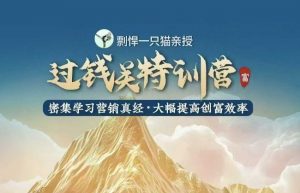 剽悍一只猫-过钱关特训营，学习营销真经 大幅度提高创富效率-云途资源库