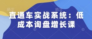 直通车实战系统：低成本询盘增长课，让个人通过技能实现升职加薪，让企业低成本获客，订单源源不断-云途资源库