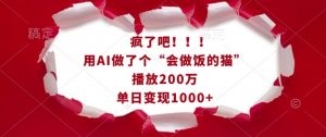 疯了吧！用AI做了个“会做饭的猫”，播放200万，单日变现1k-云途资源库
