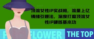 顶流女性IP实战班，流量上亿情绪引爆法，深度打磨顶流女性IP硬核基本功-云途资源库
