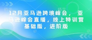 12月亚马逊跨境峰会， 亚马逊峰会直播，线上特训营基础版，进阶版-云途资源库