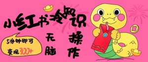 小红书冷知识账号，无脑复制粘贴，5分钟即可变现3张-云途资源库