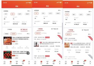 2025最新京东蓝海项目，0 门槛日入 1k+，小白宝妈轻松上手【揭秘】-云途资源库