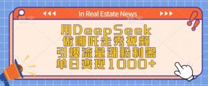 用DeepSeek做哪吒走秀视频，引爆流量涨粉利器，单日变现1k-云途资源库