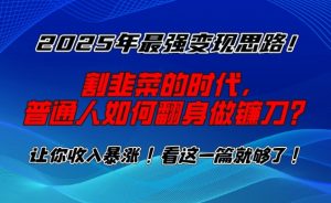 2025年最强变现思路，割韭菜的时代， 普通人如何翻身做镰刀？【揭秘】-云途资源库