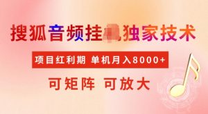 首发搜狐音频挂JI，项目红利期，可矩阵可放大，稳定月入5k【揭秘】-云途资源库