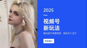 搬运老外奇葩视频，撸视频号分成计划收益，每天只需一小时，新手小白轻松月入过W-云途资源库