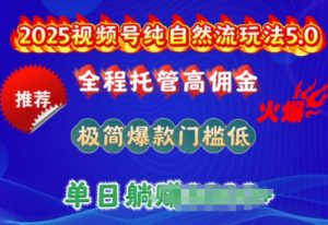 2025视频号纯自然流玩法5.0，全程托管高佣金，极简爆款门槛低，单日收益多张【揭秘】-云途资源库