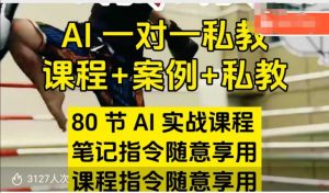 AI指令实战课，课程+案例，80节AI实战课程，笔记指令随意享用，课程指令随意享用-云途资源库