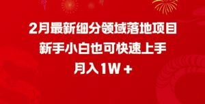 2月最新细分领域落地项目，新手小白也可快速上手，月入1W-云途资源库