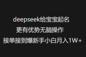 deepseek给宝宝起名更有优势无脑操作接单接到爆新手小白月入1W+-云途资源库