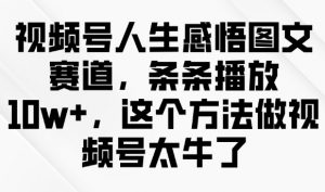 视频号人生感悟图文赛道，条条播放10w+，这个方法做视频号太牛了-云途资源库
