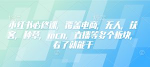 小红书必修课，覆盖电商，无人，获客，种草，mcn，直播等多个板块，看了就能干-云途资源库