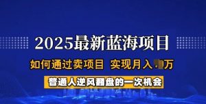 2025蓝海项目，普通人如何通过卖项目，实现月入过W，全过程【揭秘】-云途资源库