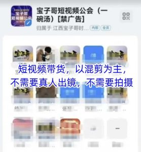宝子哥头部团队短视频带货，以混剪为主，不需要真人出镜，不需要拍摄【更新8月】-云途资源库