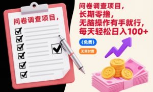 问卷调查项目，长期零撸，无脑操作有手就行，每天轻松日入100+【揭秘】-云途资源库