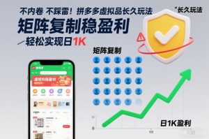 不内卷不踩雷！拼多多虚拟品长久玩法，矩阵复制稳盈利，轻松实现日1K【揭秘】-云途资源库