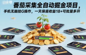 番茄采集全自动掘金项目，手机无脑挂G操作，一天保底收益18+可批量多开【揭秘】-云途资源库