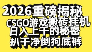2026开年重磅解密，CSGO游戏搬砖挂G日入1k+的秘密，把倒狗的底裤扒干【揭秘】-云途资源库