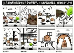 卤蛋哈基米短视频制作全流程教学，条条爆款，疯狂吸粉几十万-云途资源库